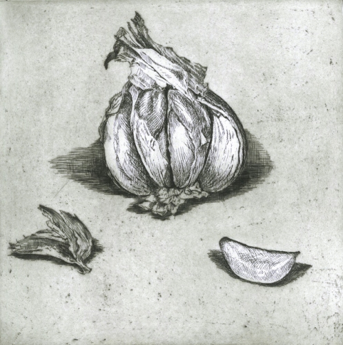 Garlic by Kristin Headlam
