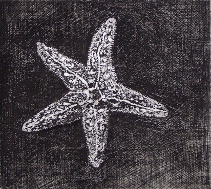 Starfish by Shane Jones