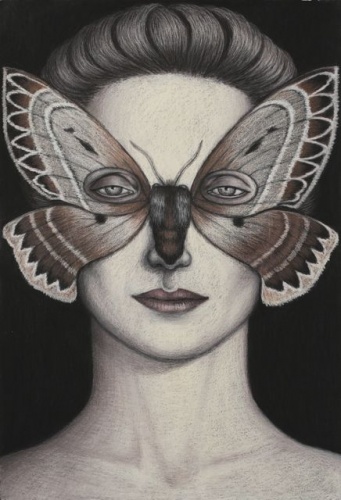 Anthela oressarcha Moth Mask, Framed by Deborah Klein