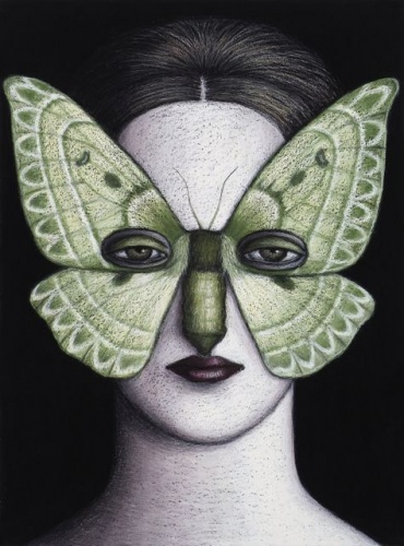 Anthela oressarcha Moth Mask  Framed by Deborah Klein