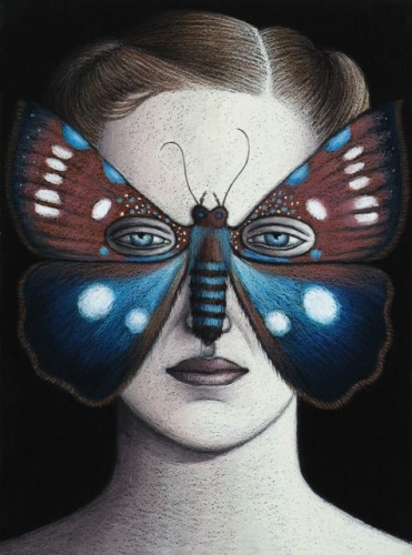 Argyrolepidia aequalis Moth Mask, Framed by Deborah Klein