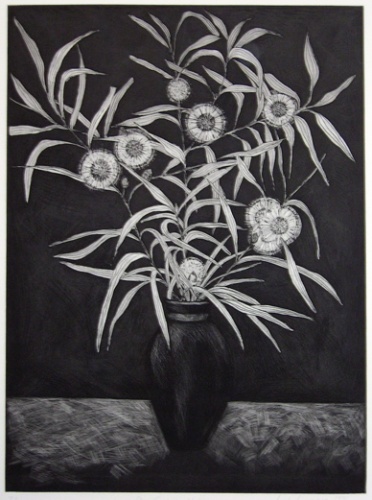 Pin Cushion Hakea by Anita Laurence