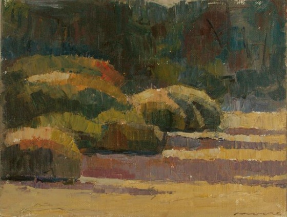 Evening Shadows. Tathra, NSW by David Moore