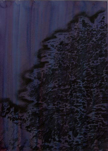Garden nocturne by Jim Pavlidis