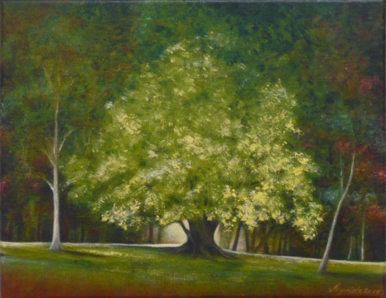 Yellow Tree Macedon by Ingrida Rocis