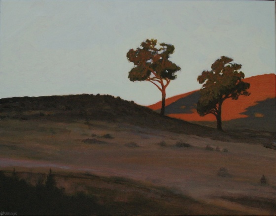 Lancefield #11 by John Spooner