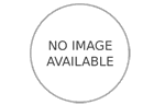 Eels (Set of 5 ) by Jayne Strickland