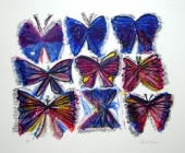 Alices Book of Butterflies by Charles Blackman