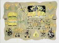 John Wolseley - The Honey of the Hakea Tree by Art Portfolio Cancer Council