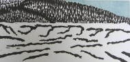 Burnt logs stacked by  