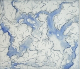 Shoals by Brigid Cole-Adams