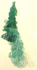 Marian Crawford - Acropora by Marian Crawford