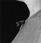 (A) Rouleau by Ponch Hawkes