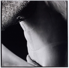 (A) Silken Seam by Ponch Hawkes