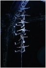  Melbourne season 2006 - Circus Oz by Ponch Hawkes