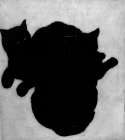 Cross Pussies by Kristin Headlam