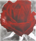 Kristin Headlam - A gardener at midnight: The sick rose I by Kristin Headlam
