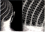 Enigma-Variations # 2 by Deborah Klein