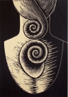 Shell by Deborah Klein