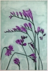 Freesias by Anita Laurence