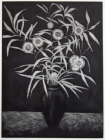Pin Cushion Hakea by Anita Laurence