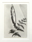 Untitled 10 by Miranda Leighfield