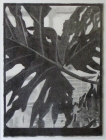 Untitled 3 by Miranda Leighfield
