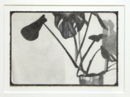 Untitled 4 by Miranda Leighfield