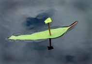 The Gumleaf Boat by Helga Leunig