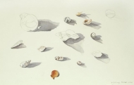 Fragments, Two mile bay by Tiffany McNab