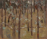 Bush Study, Eltham by David Moore