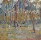 Bush Summer, Eltham #1 by David Moore