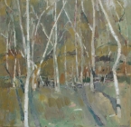 Bush Summer, Eltham #2 by David Moore
