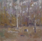 Bush Summer, Eltham #3 by David Moore