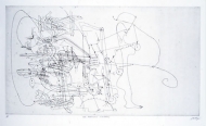 The Anatomy Concerto by Bruce Petty