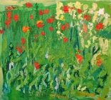 Poppies amongst the Rocket by Jennifer Plunkett