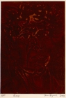 Aesop by John Ryrie