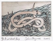 A wicked ship by John Ryrie