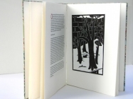 John Ryrie - The Selfish Giant (Image 2) by John Ryrie