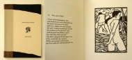 More Fables of Aesop by  