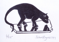The Mirror by John Ryrie