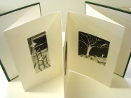 The night has a thousand eyes (image 3) by John Ryrie