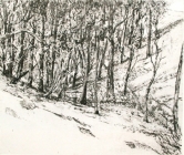 Gully Toolern Vale by John Scurry